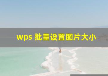 wps 批量设置图片大小